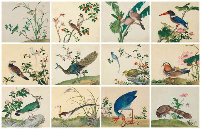 A Group of Twelve Paintings of Southeast Asian Birds | MasterArt